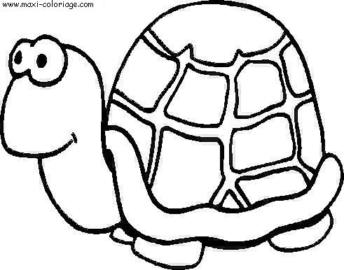coloriage Tortues