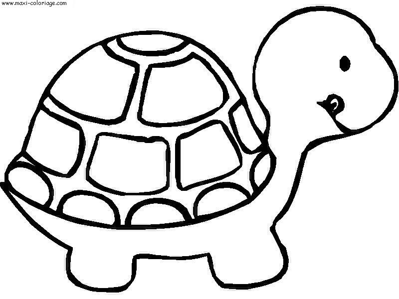 coloriage Tortues