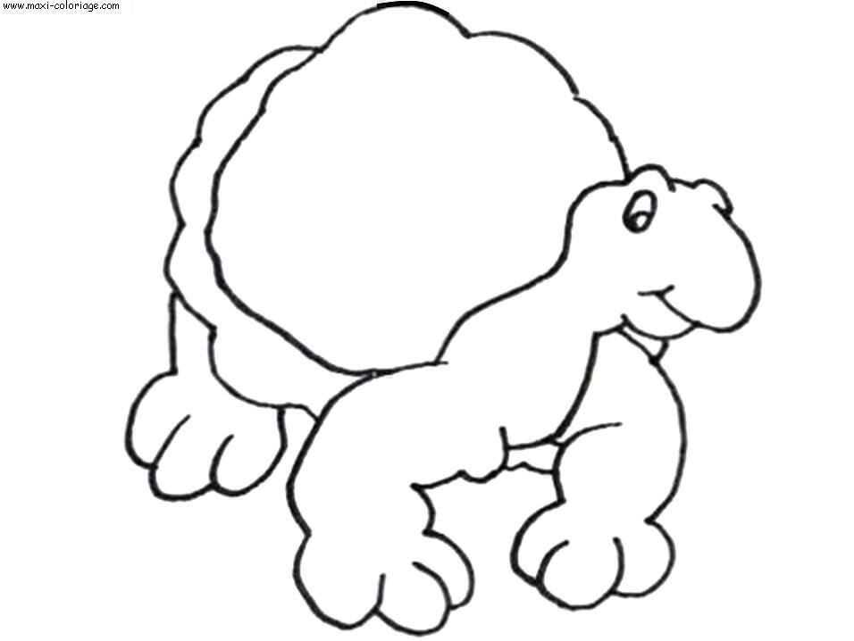 coloriage Tortues