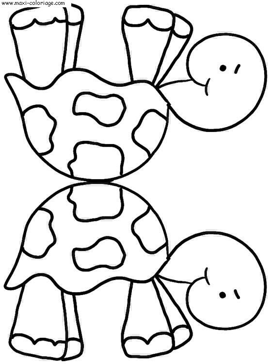 coloriage tortues, dessin tortues, tortues Coloriage N°4699