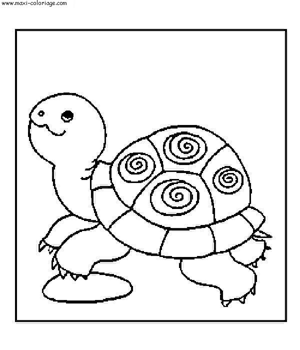 coloriage Tortues