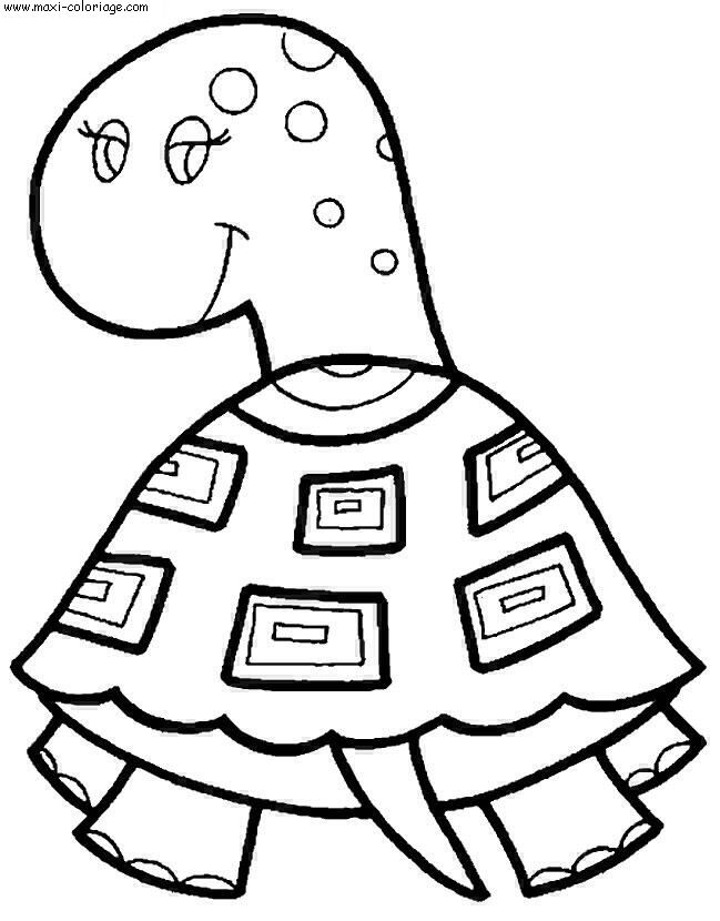 coloriage Tortues