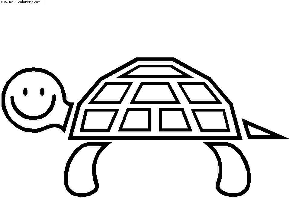 coloriage Tortues