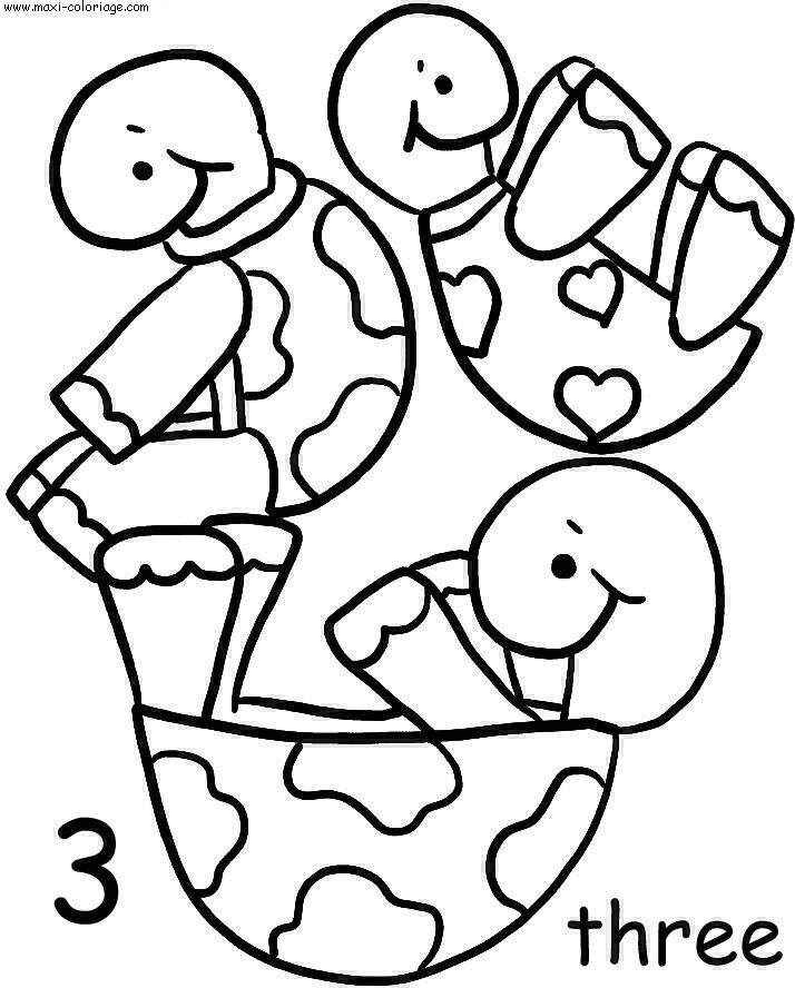 coloriage Tortues