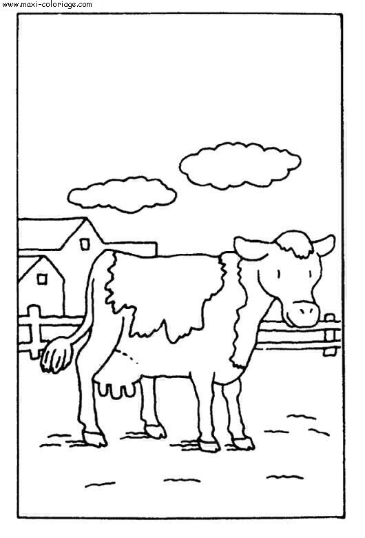 coloriage Vaches
