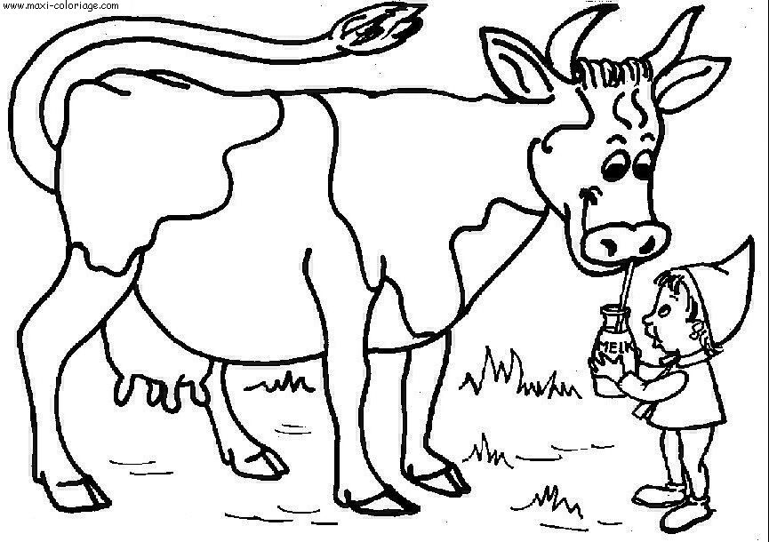 coloriage Vaches