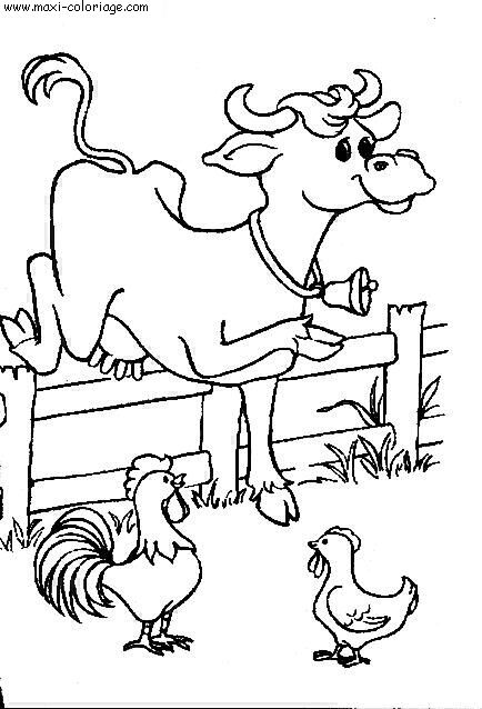 coloriage Vaches