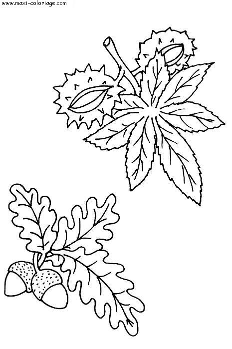 coloriage Automne