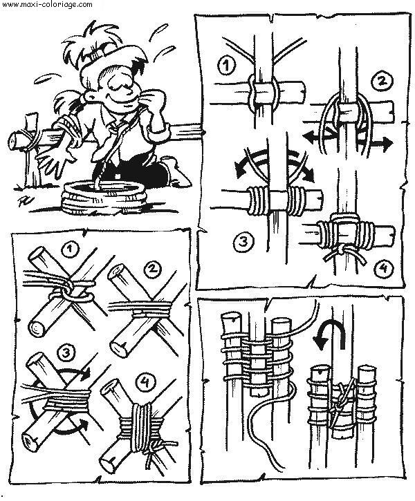 coloriage Scouts