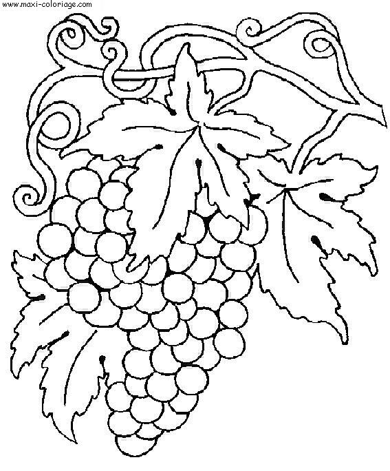 coloriage Vendanges