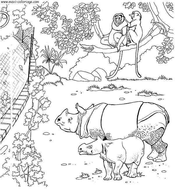 coloriage Zoo