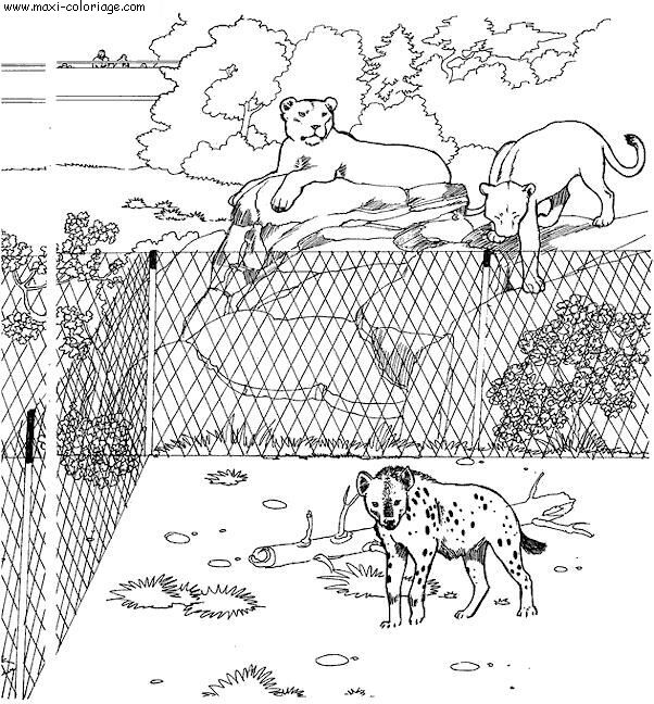 coloriage Zoo