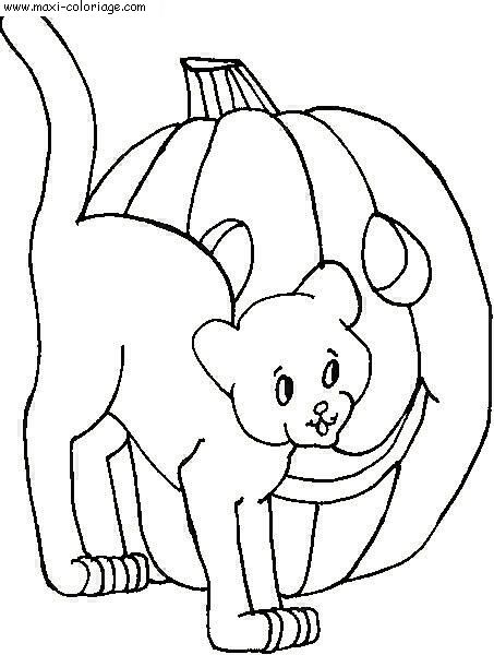 coloriage Halloween
