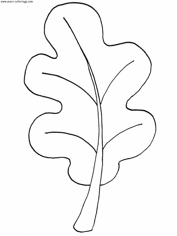 coloriage Feuilles