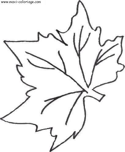 coloriage feuille