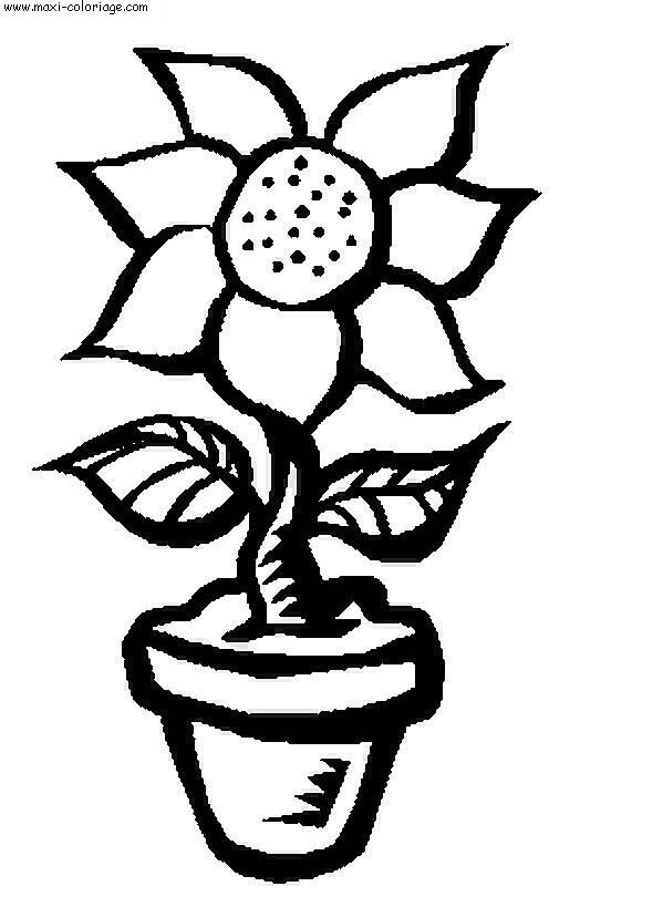 coloriage Fleurs