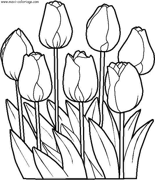 Fleur coloriage simple