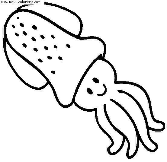 coloriage Pour Les Petits