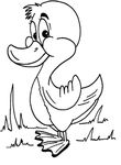 dessin Canards