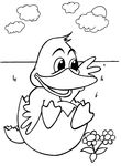 coloriage Canards