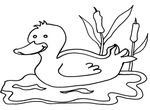 coloriage Canards