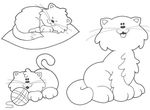 coloriage Chats