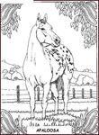 coloriage Chevaux