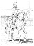 dessin Chevaux