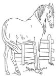 coloriage enfant Chevaux