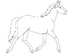 dessin Chevaux