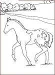 dessin Chevaux