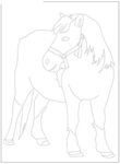 dessin Chevaux