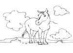 coloriage Chevaux