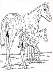 coloriage enfant Chevaux