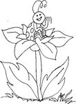 coloriage Coccinelles