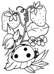 coloriage enfant Coccinelles