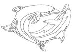 coloriage Dauphins