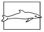 coloriage Dauphins