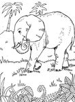 dessin Elephants