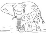 dessin Elephants