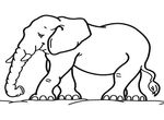 coloriage Elephants