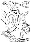 coloriage Escargots