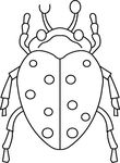 coloriage Insectes