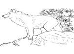 coloriage enfant Loups