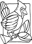 coloriage Oiseaux