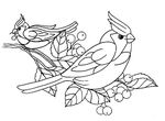 coloriage Oiseaux