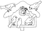 coloriage Oiseaux