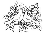 coloriage Oiseaux