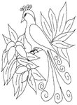 coloriage Oiseaux