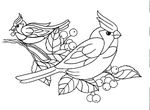 coloriage Oiseaux